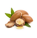 Argan nuts and oil on leaves.