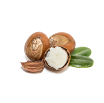 Three shea nuts, one of which is opened, with leaves.